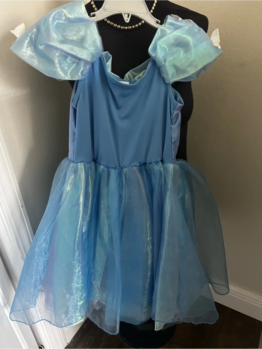 Disney princess dress